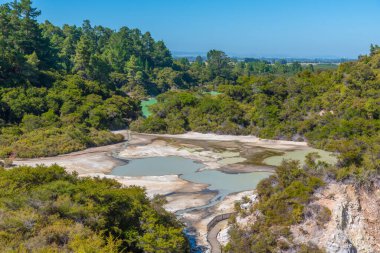 Wai-o-Tapu, Yeni Zelanda jeotermal manzarası
