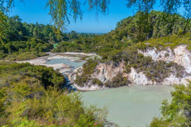 Wai-o-Tapu, Yeni Zelanda jeotermal manzarası