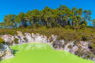 Yeni Zelanda 'daki Wai-O-Tapu' da Roto Karikitea Gölü