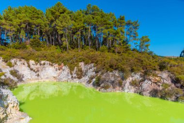 Yeni Zelanda 'daki Wai-O-Tapu' da Roto Karikitea Gölü