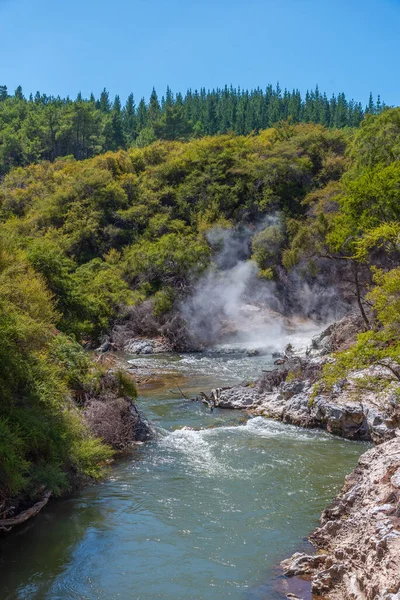 Corriente Wai Tapu Nueva Zelanda —  Fotos de Stock