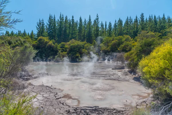 Mud Басейни Вай Тапу Новій Зеландії — стокове фото