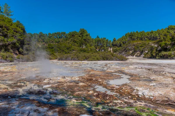 Iszapmedencék Wai Tapu Nál Zélandon — Stock Fotó