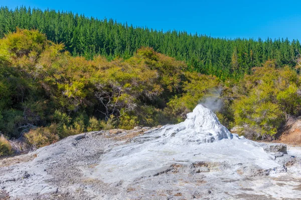 レディKnow間欠泉にWai Tapu New Zealand — ストック写真