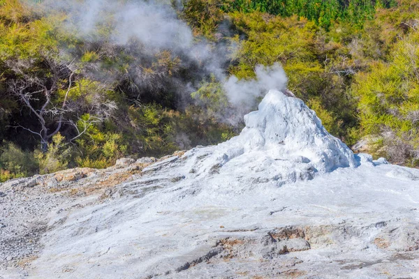 Hölgy Ismeri Gejzírt Wai Tapu Ban Zélandon — Stock Fotó