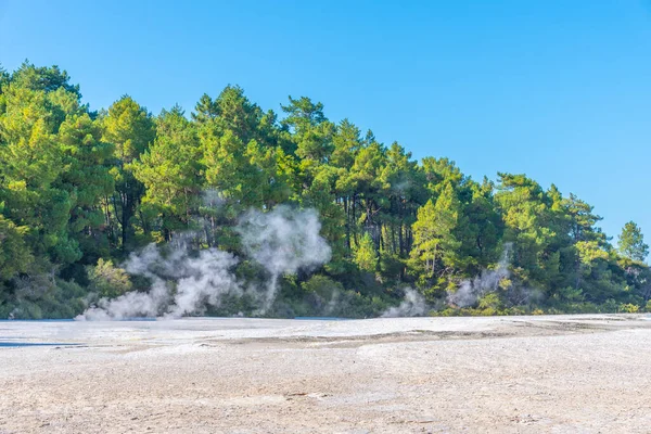 Καλλιτεχνική Παλέτα Στο Wai Tapu Στη Νέα Ζηλανδία — Φωτογραφία Αρχείου