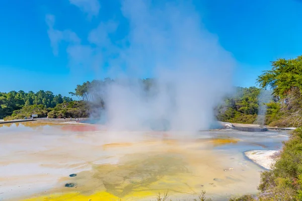 Paleta Artistas Wai Tapu Nova Zelândia — Fotografia de Stock