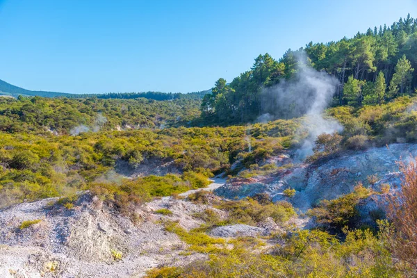 Krajobraz Geotermalny Wai Tapu Nowa Zelandia — Zdjęcie stockowe