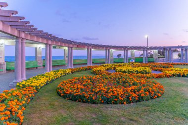 Napier, Yeni Zelanda 'da deniz kenarı atari salonu