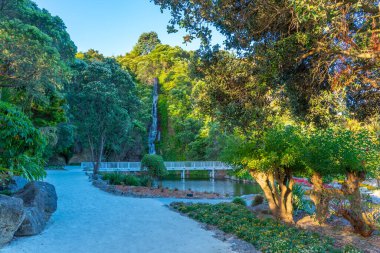Napier, Yeni Zelanda 'da yüzüncü yıl şelalesi