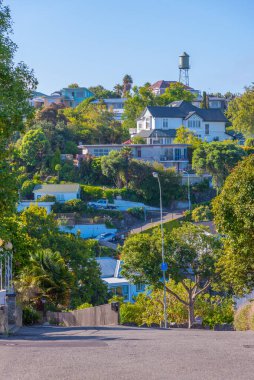 Napier, Yeni Zelanda 'daki Bluff Hill' deki konutlar