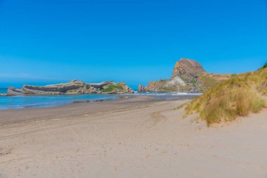 Yeni Zelanda 'daki Kale Noktası Sahili