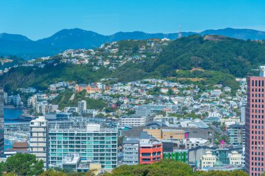 Wellington, Yeni Zelanda 'nın Panorama manzarası