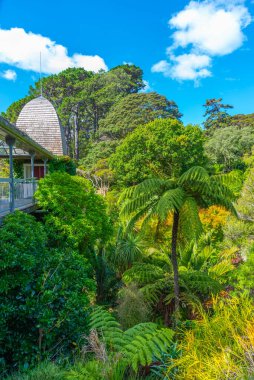 Wellington Botanik Bahçesi Yeni Zelanda 'daki Ağaç Evi