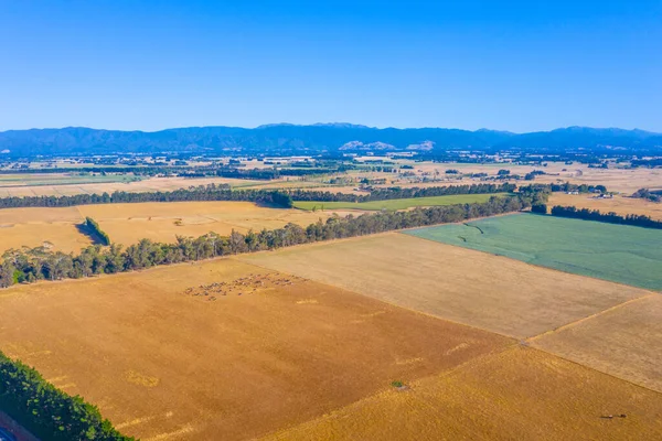 Vista Aérea Paisagem Rural Ilha Norte Nova Zelândia — Fotografia de Stock