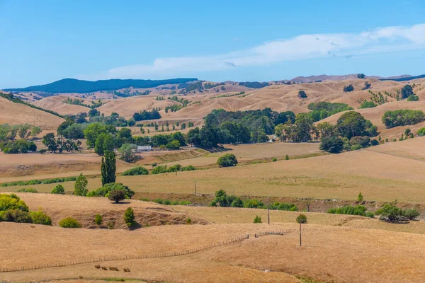 Paysage Rural Nouvelle Zélande Près Hastings — Photo