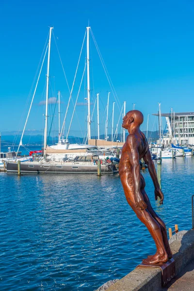 Estátua Solace Wind Naked Man Port Wellington Nova Zelândia — Fotografia de Stock