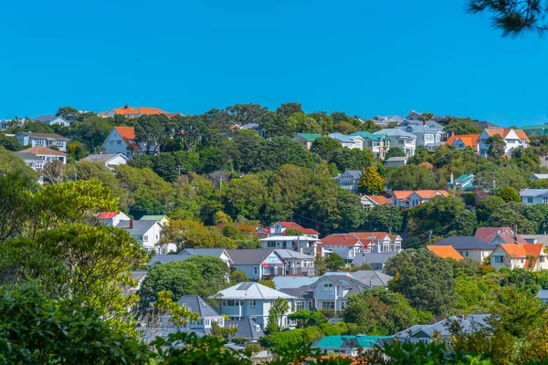 Casas Residenciais Wellington Nova Zelândia — Fotografia de Stock