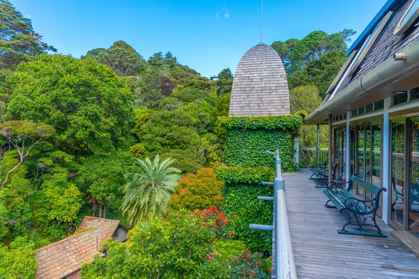 Wellington Botanic Garden Treehouse Nouvelle Zélande — Photo