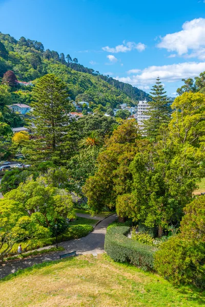 Forest Path Wellington Botanic Garden New Zealand — Stock Photo, Image