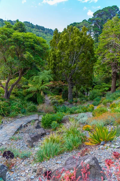 Plantas Coloridas Jardín Botánico Wellington Nueva Zelanda — Foto de Stock