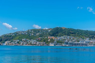 Wellington, Yeni Zelanda 'da Victoria Dağı.