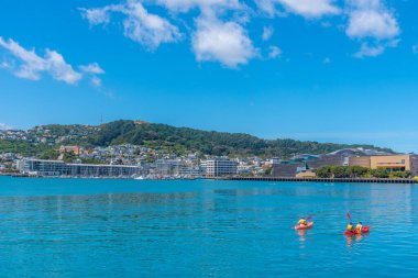 Yeni Zelanda, Wellington 'da Papa Müzesi ve Marina