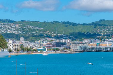 Wellington, Yeni Zelanda 'daki Oriental Körfezi Sahili