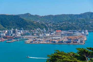 Wellington, Yeni Zelanda 'daki konteynır limanının hava görüntüsü