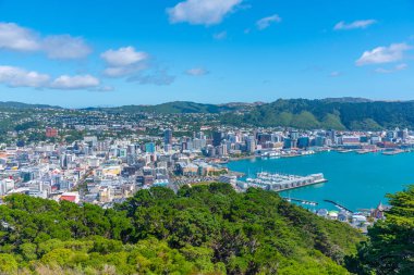 Wellington, Yeni Zelanda 'nın hava manzarası
