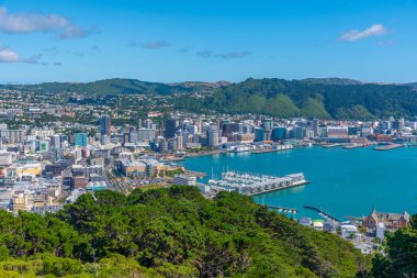 Wellington, Yeni Zelanda 'nın hava manzarası