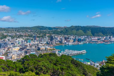 Wellington, Yeni Zelanda 'nın hava manzarası