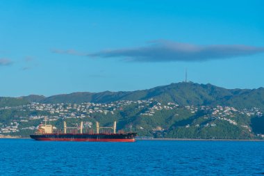 Tanker Wellington, Yeni Zelanda limanına gidiyor.