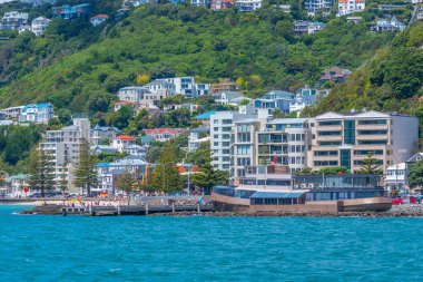 Wellington, Yeni Zelanda 'daki Oriental Körfezi Sahili