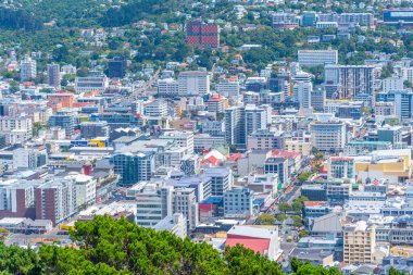 Wellington, Yeni Zelanda şehir merkezinin hava görüntüsü