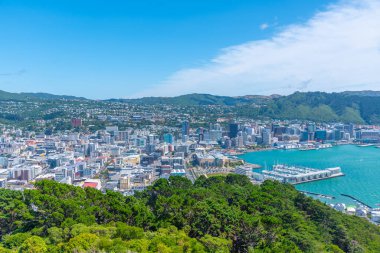 Wellington, Yeni Zelanda 'nın hava manzarası