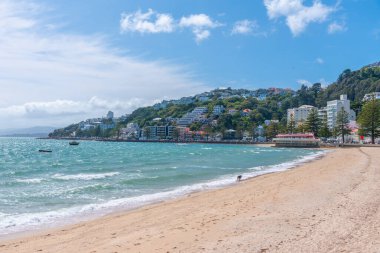 Wellington, Yeni Zelanda 'daki Oriental Körfezi Sahili