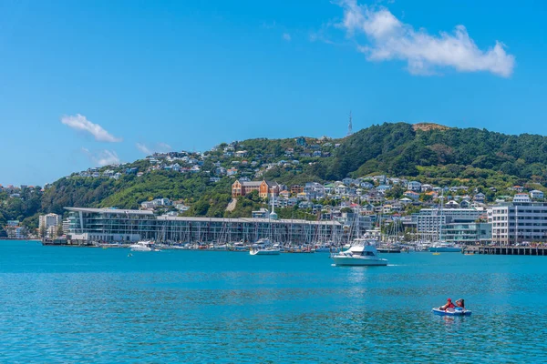 Monte Victoria Con Vistas Puerto Deportivo Wellington Nueva Zelanda — Foto de Stock