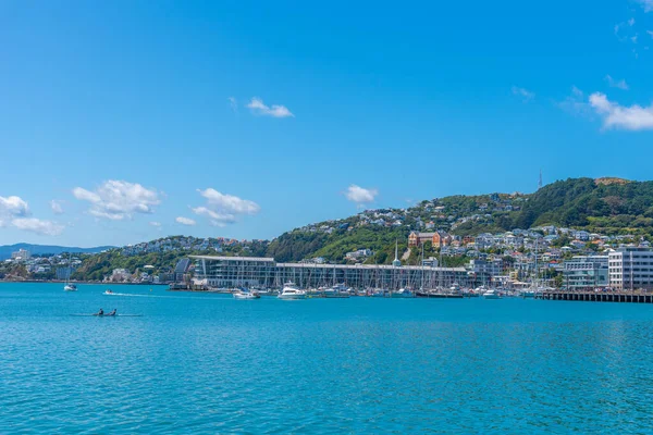 Wellington, Yeni Zelanda 'da Victoria Dağı.
