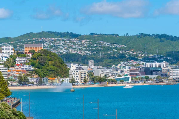 Pláž Oriental Bay Wellingtonu Nový Zéland — Stock fotografie