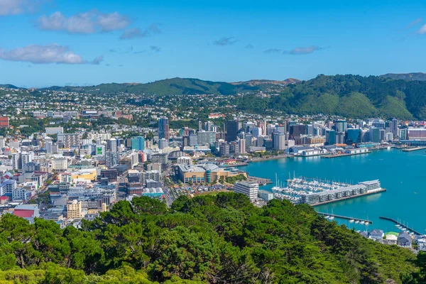 Letecký Pohled Wellington Nový Zéland — Stock fotografie