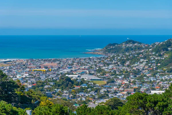 Vista Aérea Del Suburbio Wellington Nueva Zelanda — Foto de Stock