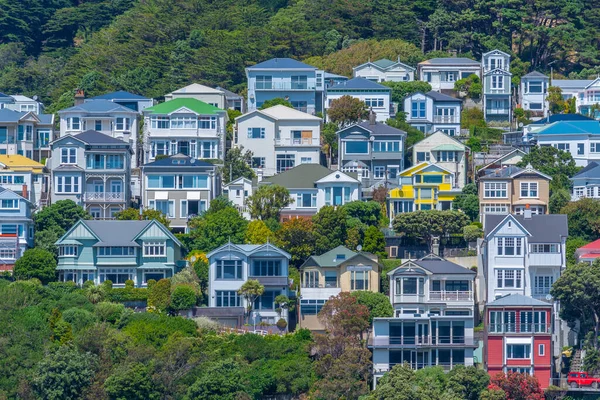 Casas Residenciais Tradicionais Monte Victoria Wellington Nova Zelândia — Fotografia de Stock