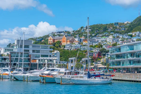 Marina Wellington Nueva Zelanda — Foto de Stock