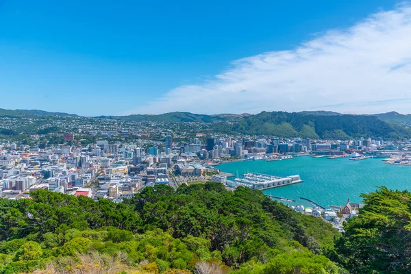 Vista Aérea Wellington Nueva Zelanda — Foto de Stock