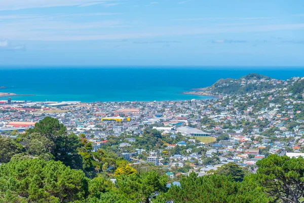 Vista Aérea Del Suburbio Wellington Nueva Zelanda — Foto de Stock