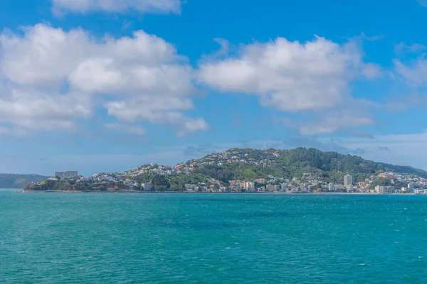 Traditional Residential Houses Mount Victoria Wellington New Zealand — Stock Photo, Image