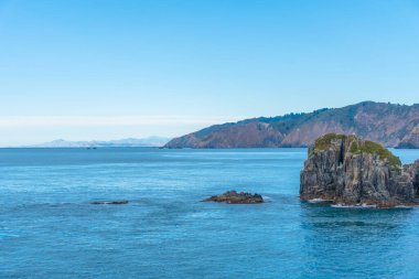 Yeni Zeland 'in Güney Adası' nın kuzey kıyısı