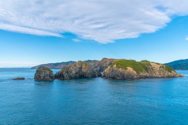 Yeni Zeland 'in Güney Adası' nın kuzey kıyısı