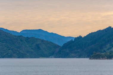 Kraliçe Charlotte, New Zeland 'in Güney Adası' nda